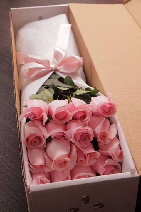 flores